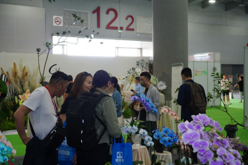 2024花城“新秀花事”亮點(diǎn)搶先看！和廣州國際花藝節(jié)一起解鎖“花經(jīng)濟(jì)”財(cái)富密碼(圖4)