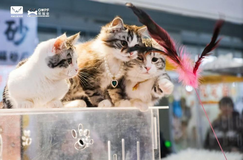 世寵會(huì)南京展 攝影 博軒.png